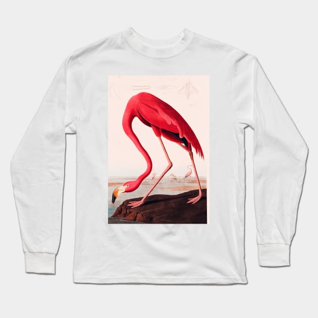 Bird of America  Bird, bird lover, america, beautiful  Public domain painting by John James Audubon Long Sleeve T-Shirt by RosMir